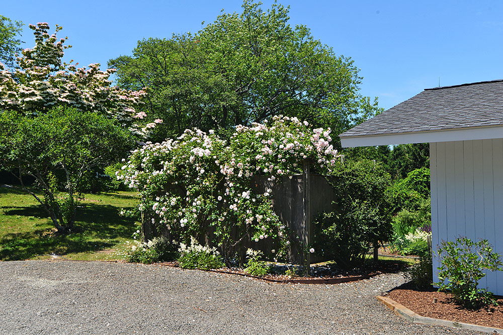 Stanley house