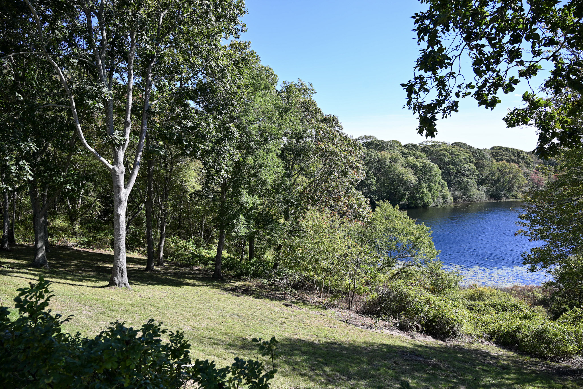 Barlow Pond House