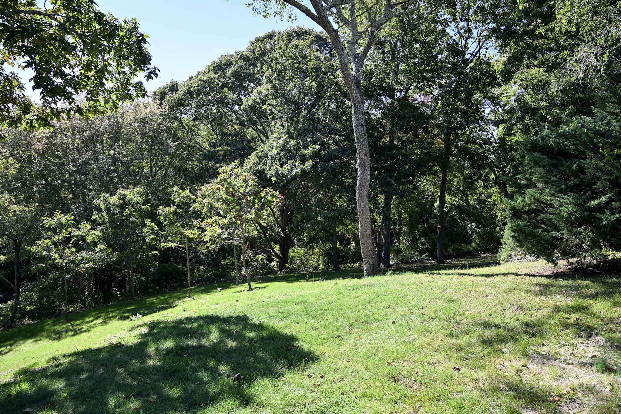 Barlow Pond House